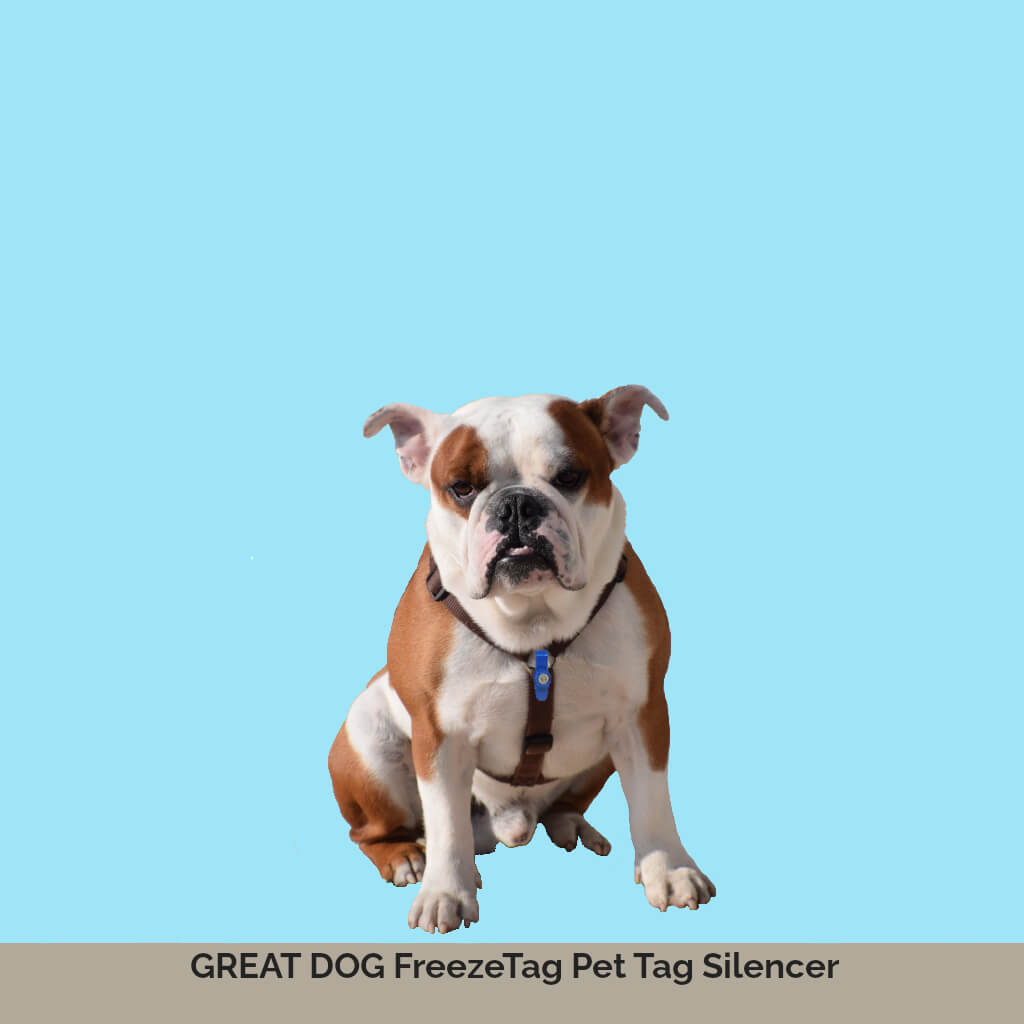 FreezeTag Dog Tag Silencer and Connector GREAT DOG CO