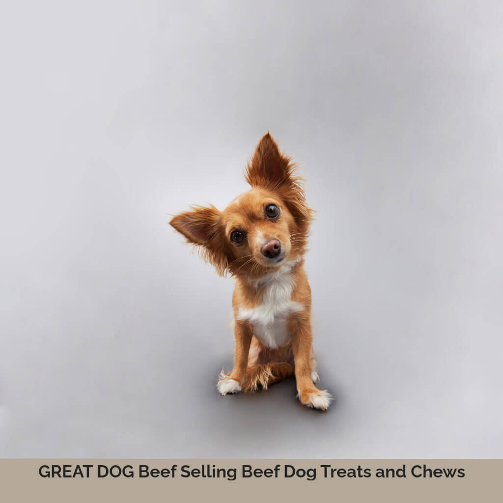 small-dog-image-with-text-great-dog-best-selling-beef-dog-treats-and-chews