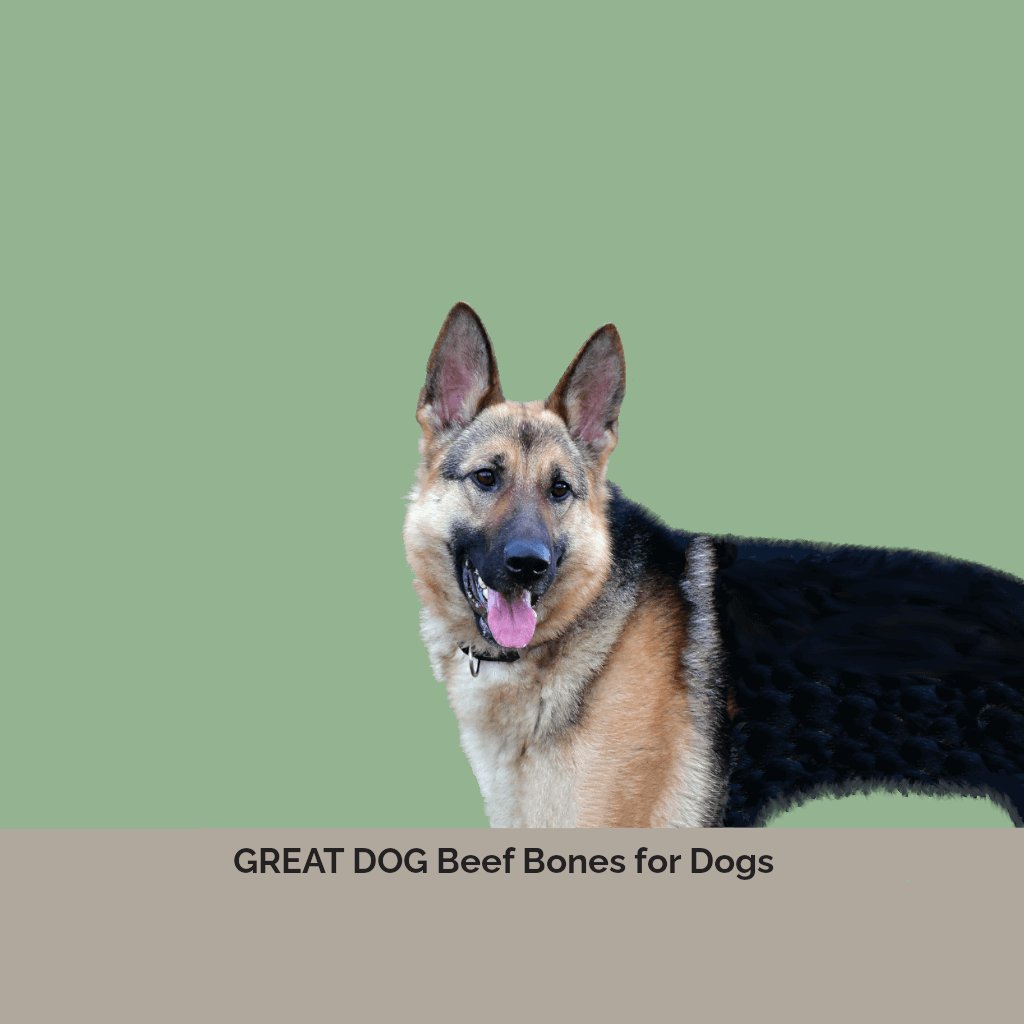 german-shepherd-dog-image-with-text-beef-bones-for-dogs-collection