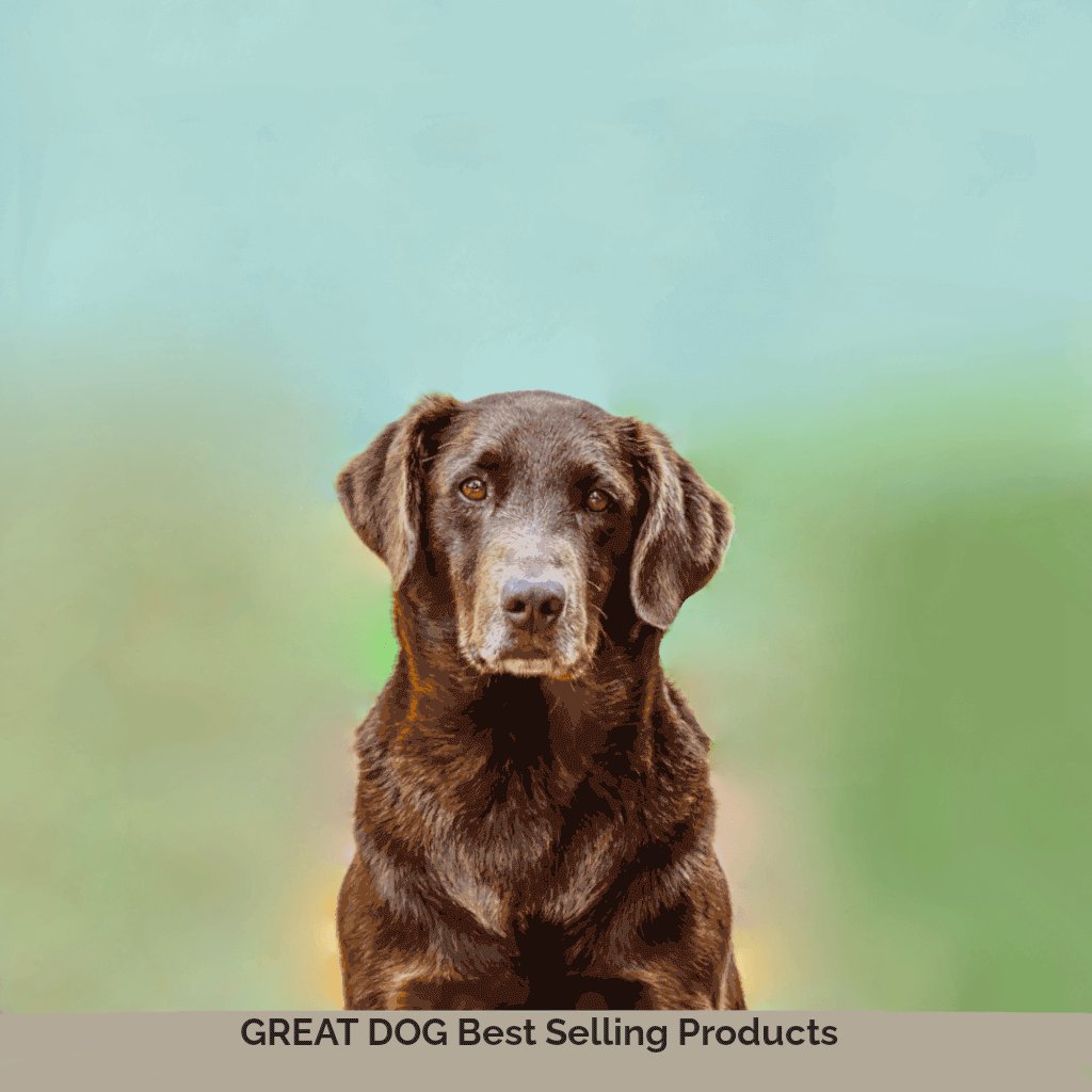 GREAT DOG Best Selling Dog Treats and Chews GREAT DOG CO